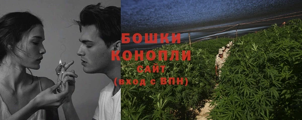 молекула духа Белокуриха
