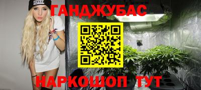 дживик Будённовск