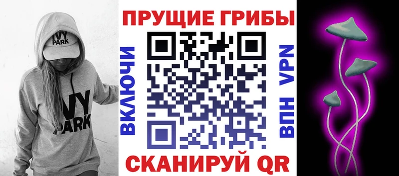 Псилоцибиновые грибы Cubensis  Гусев 