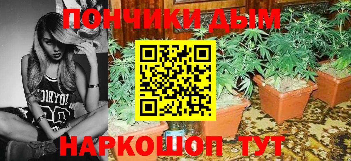 Марихуана конопля Гусев